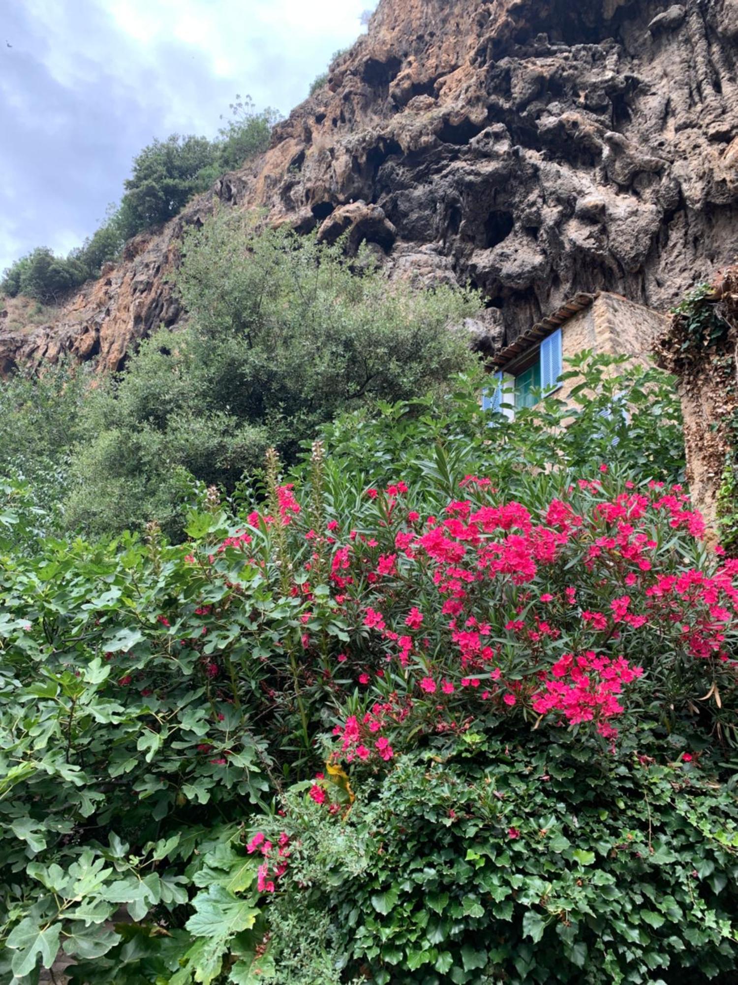 Tivoli En Provence Villa โคทินยัค ภายนอก รูปภาพ
